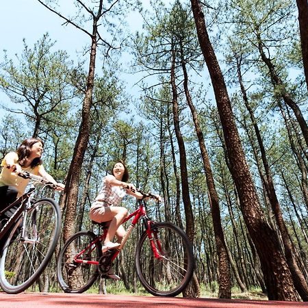 Seagaia Forest Cottages Миядзаки Экстерьер фото