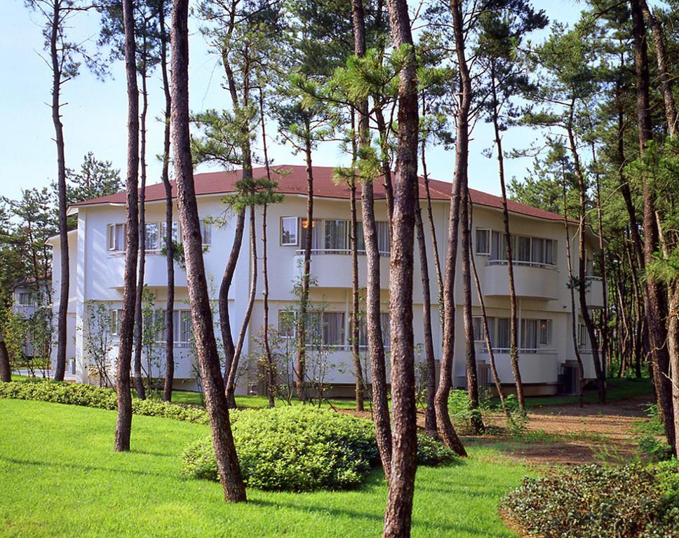 Seagaia Forest Cottages Миядзаки Номер фото