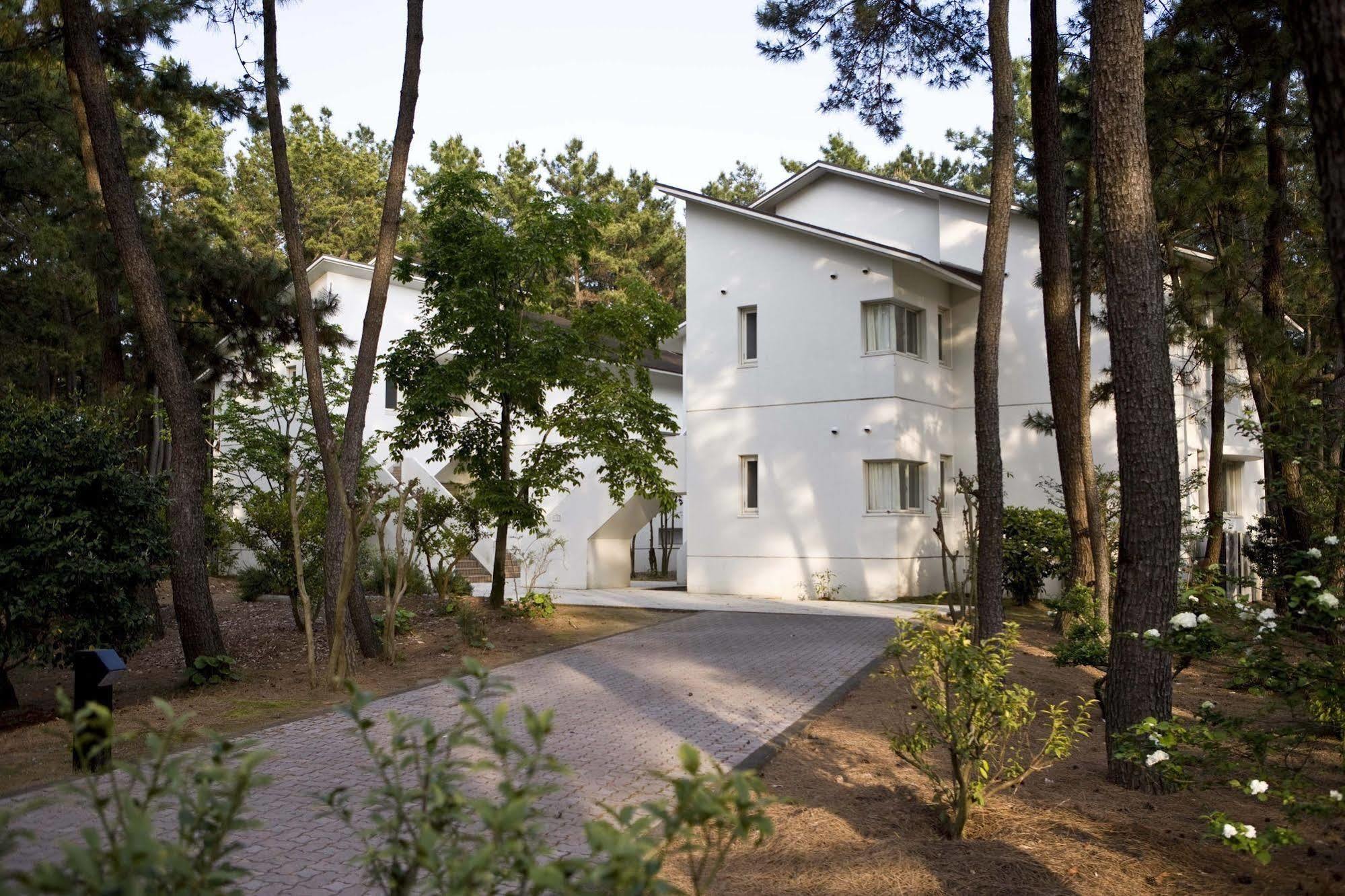 Seagaia Forest Cottages Миядзаки Экстерьер фото